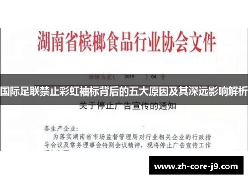 国际足联禁止彩虹袖标背后的五大原因及其深远影响解析