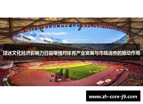 球迷文化经济影响力日益增强对体育产业发展与市场消费的推动作用