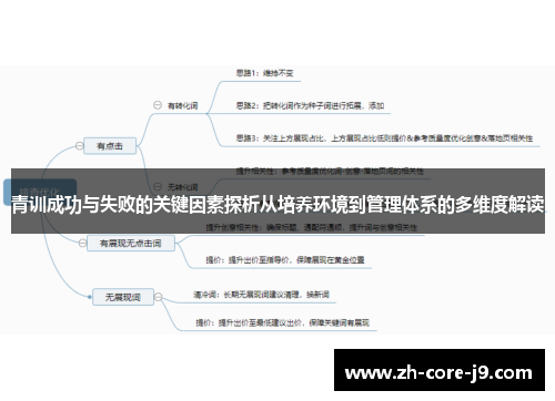 青训成功与失败的关键因素探析从培养环境到管理体系的多维度解读