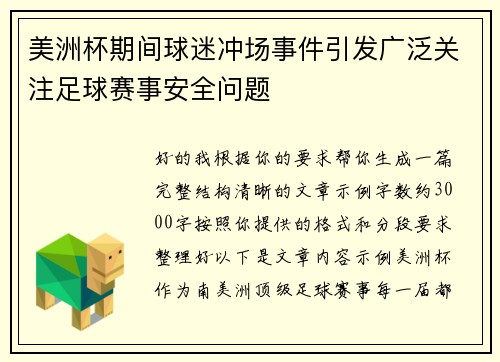 美洲杯期间球迷冲场事件引发广泛关注足球赛事安全问题 美洲杯期间球迷冲场事件引发广泛关注足球赛事安全问题